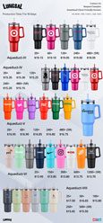 New Stanley Style Tumblers